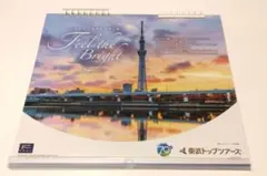 Item thumbnail for item 5f16088f-ceb2-400d-987e-0643fcef06a8