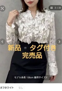 Item thumbnail for item 613c29b6-54de-45e2-bf70-420b83f25a89