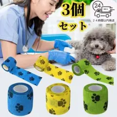 Item thumbnail for item 917c1560-05a9-41ed-bd32-8a1304e02700