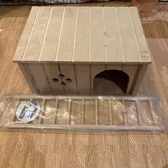 Item thumbnail for item b77d690e-1ed2-43c4-8d1f-3e99d5450c03