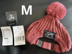 Item thumbnail for item a1f7cc55-6baf-4767-945e-e756dbc9d454