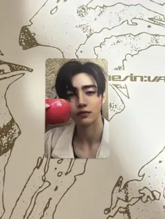 ENHYPEN THE SIN:VANISH トレカ ソンフン