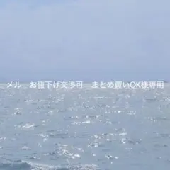 メル　お値下げ交渉可　まとめ買いOK様 リクエスト 2点 まとめ商品