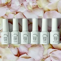 ポリッシュタイプ ミスティックルージュ 全6色セット マグネット ジェルネイル