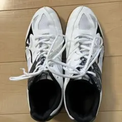 Mizuno バレーボールシューズ ホワイト　　27.0cm