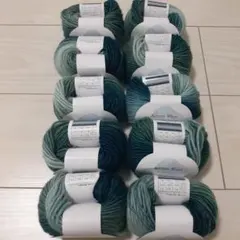 Aurora Wool グラデーション毛糸 10個 No.11