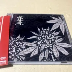 2026年最新】舐達麻 cdの人気アイテム - メルカリ