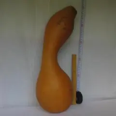 川*ジ様 ヴィンテージ42cm 石原 日出男作「赤わらべ」 - メルカリ
