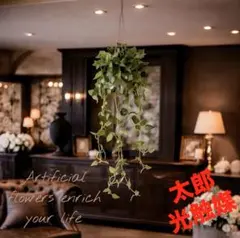 光触媒　人工観葉植物　ウォールグリーン　フェイクグリーン　壁掛けフィロのサムネイル