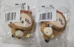 たぬきだもんくじ　ラッコ２個セット