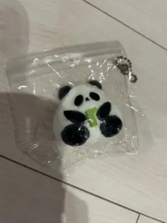 パンダ　スクイーズ