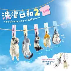 洗濯日和2 〜やっぱりキレイになるって気持ちいい〜 全５種 コンプ ガチャ