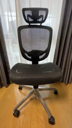 SIHOO DORO C300 オフィスチェア