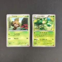 クルミル・ハハコモリ　ファントムゲート　ポケモンカード