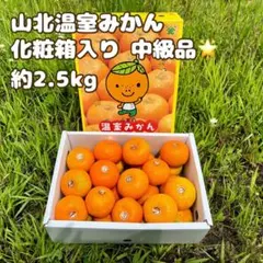 JA高知県産 温室山北みかん ⭕️秀品 Mサイズ 5kg光センサー選果物 JA高知県産 温室山北みかん ⭕️秀品 Mサイズ 5kg光センサー選果物