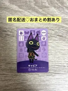 ★新品未使用★あつ森amiiboカード　まとめ割　34 キャビア