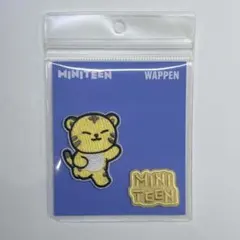 未使用　セブチ　ミニティーン　ホシ　ウジ 2025年最新】ミニティーン ホシの人気アイテム - メルカリ