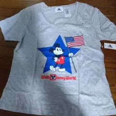 Item thumbnail for item b4037614-3b72-499d-b12c-c17671c8e8f5