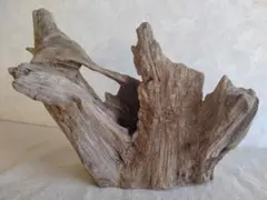 2026年最新】ホーンウッドの人気アイテム - メルカリ