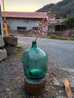 Item thumbnail for item 811406cb-f93c-4f3e-a25e-35642878e799