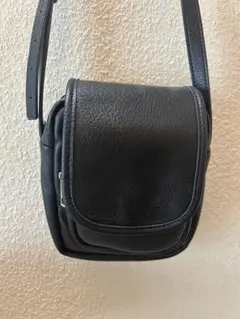 Item thumbnail for item 3b9aa67a-34ae-414e-9620-ca4720bb107b