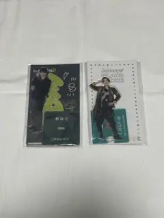 中村嶺亜 アクリルスタンド