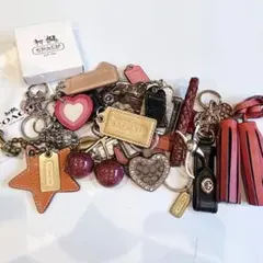 COACH バックチャーム キーホルダー タッセル 33点 まとめ売り 代行OKのサムネイル