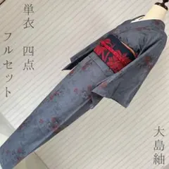 白大島 総絣 一元式 花 葉 - メルカリ