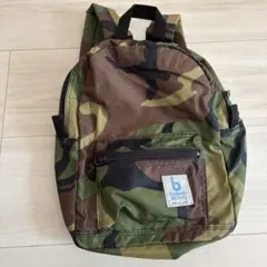 Item thumbnail for item 62ed4335-678c-4567-8e98-9f561740b9d8