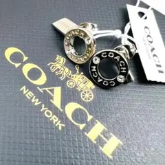 Item thumbnail for item 7247f437-1f8a-4815-9a22-dc40ab780cb6