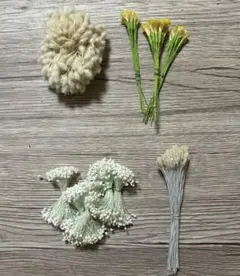 Item thumbnail for item 418987a8-0477-49c1-b6be-e16b583d6e6a