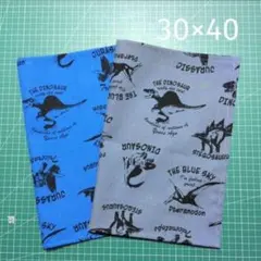 ランチマット 30×40 2枚組 恐竜柄 ブルー＆グレー