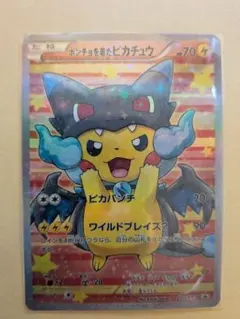 2025年最新】ポンチョを着たピカチュウ リザードンの人気