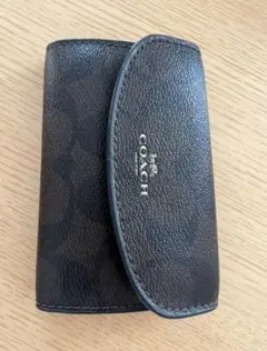 Item thumbnail for item 10ea0155-cb1a-4add-8c53-f3145ef9fda8