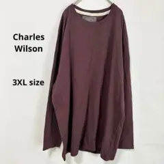 チャールズウィルソン　Tシャツ　3XL 長袖　ブラウン　大きいサイズ　カジュアル