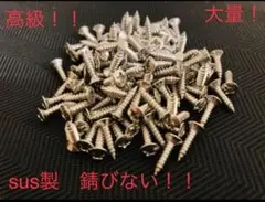 ギター・ベース用 ピックガード ネジ■30本セット／スクリュー／ビスSUS高級！のサムネイル