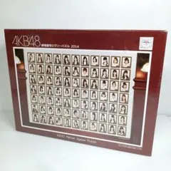 希少★レア 新品 シュリンク梱包 AKB48 劇場壁写ジグゾーパズル 2014