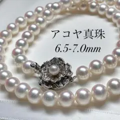 【テリ強/美品】アコヤ真珠 ネックレス 6.5-7.0mm アコヤパール2480