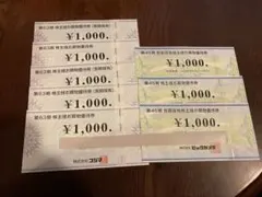 ビックカメラ　コジマ　株主優待券 ¥8,000分