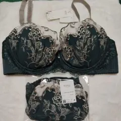 Wing Lesiage ブラジャー ショーツ セット D75 Lのサムネイル