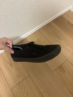 Vans authentic オーセンティック　コンフィクッシュ 27.0cm