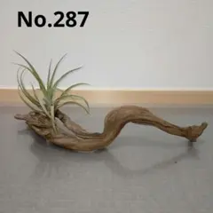 シズゥ～    購入前に 連絡を‼️様 リクエスト 2点 まとめ商品