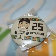 北海道日本ハムファイターズ 宮西尚生 バッジセット - メルカリ
