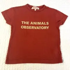 THE ANIMALS OBSERVATORY Tシャツ TAO 4のサムネイル