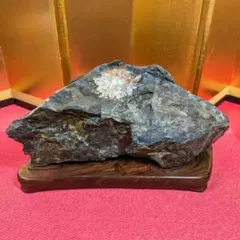 Junchan様専用】菊花石 岐阜県根尾谷産3.3㌔ 鑑賞石 観賞石 水石