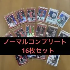 日本代表バレーボール　ウエハース2025 ノーマルコンプリート16枚セット