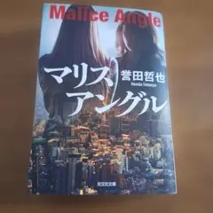 マリスアングル