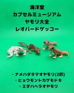 海洋堂　カプセルミュージアム　ヤモリ大全　レオパードゲッコー　3種のサムネイル