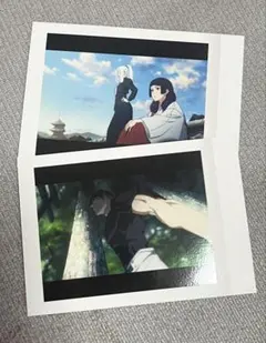 ぱしゃこれ　二枚セット