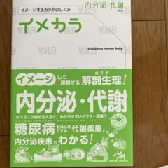 イメカラ 内分泌・代謝 イメージするカラダのしくみ